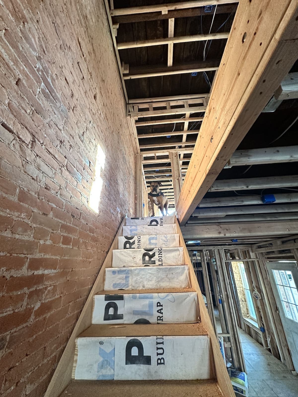 Nicholas Davis guiding new investors and developers through the real estate development process in Philadelphia — from gut renovations to ground-up projects