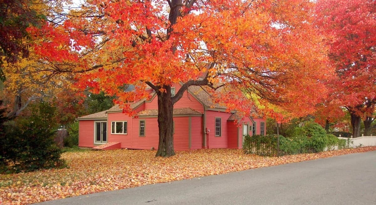 Schedule Penn Wynne showings with Nicholas Davis, your Philadelphia realtor.